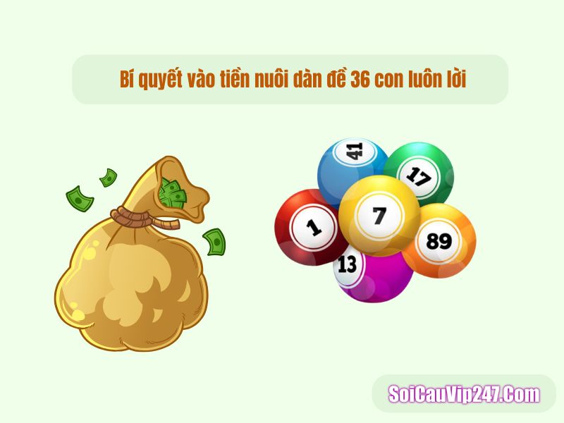 Bí quyết vào tiền nuôi dàn đề 36 con luôn lời