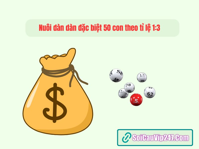 Nuôi dàn đặc biệt 50 con theo tỉ lệ 1:3