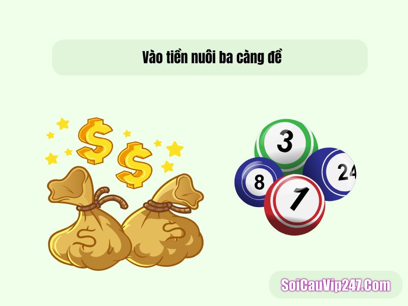 Vào tiền nuôi 3 càng đề