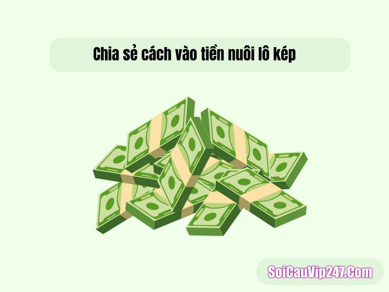 Chia sẻ cách vào tiền nuôi lô kép