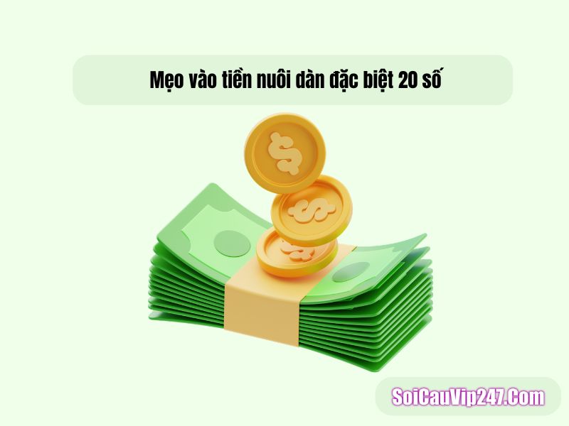 Mẹo vào tiền nuôi dàn đặc biệt 20 số