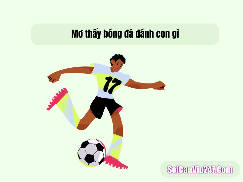Mơ thấy bóng đá đánh con gì