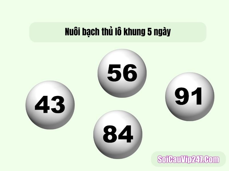 Nuôi bạch thủ lô khung 5 ngày