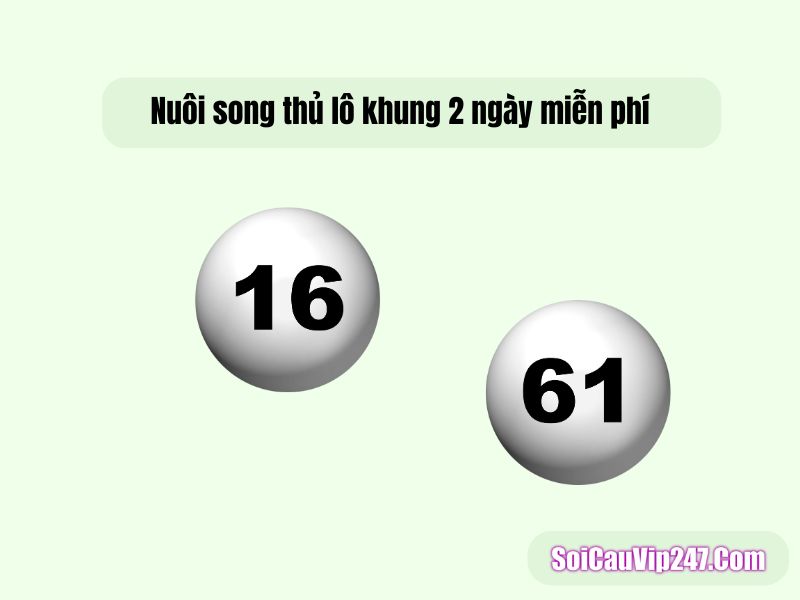 Nuôi song thủ lô khung 2 ngày miễn phí
