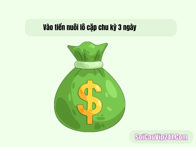 Vào tiền nuôi lô cặp chu kỳ 3 ngày
